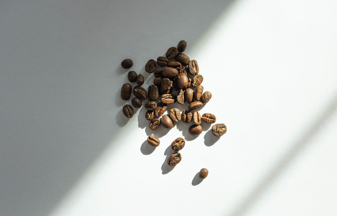 Decaf Coffee 101: How is Decaf Coffee Made?