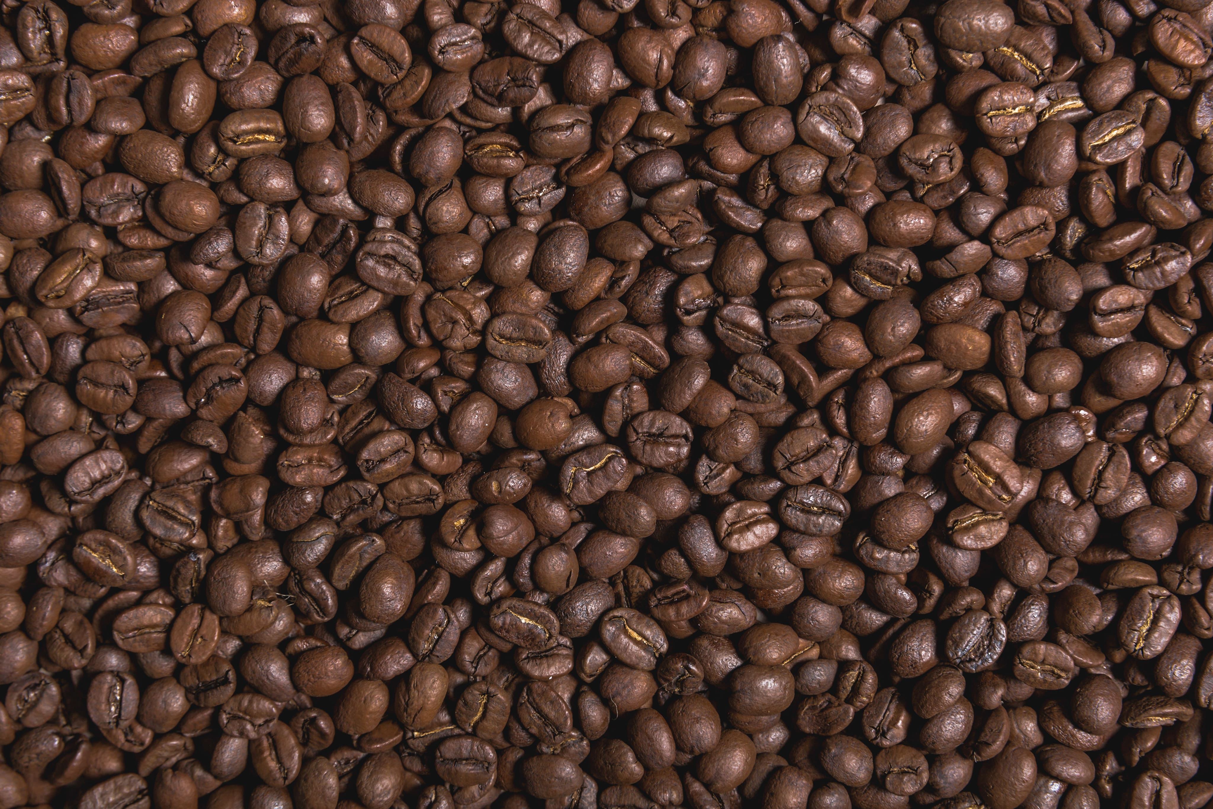 Flat lay photo of Seek organic mold free coffee beans