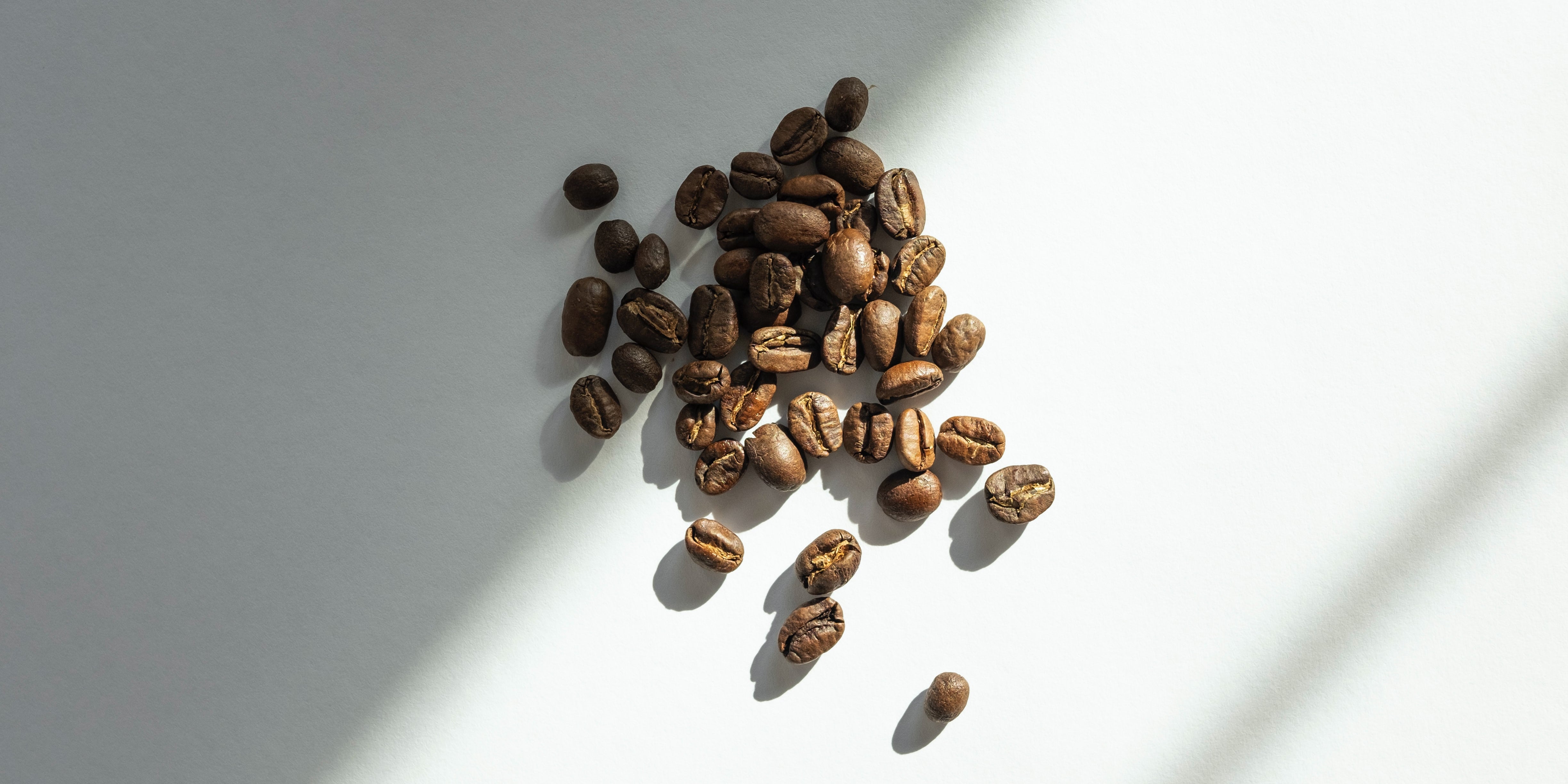 Is Decaf Coffee Bad For You and How is It Made?