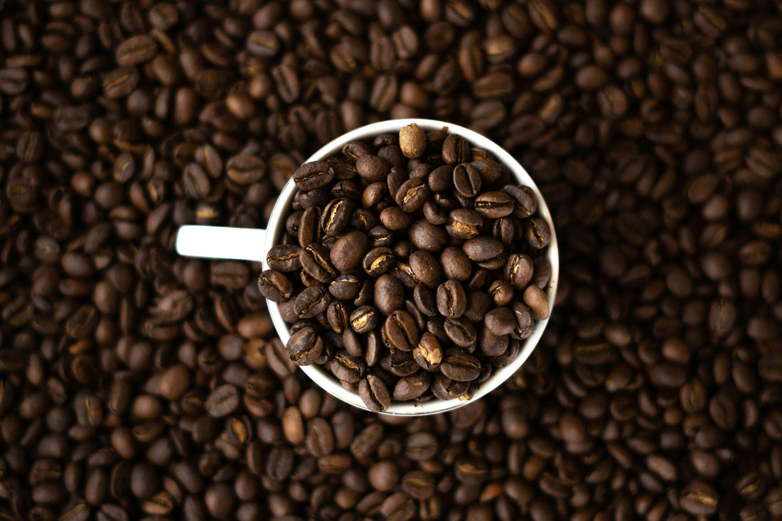 Seek® organic low acid coffee beans