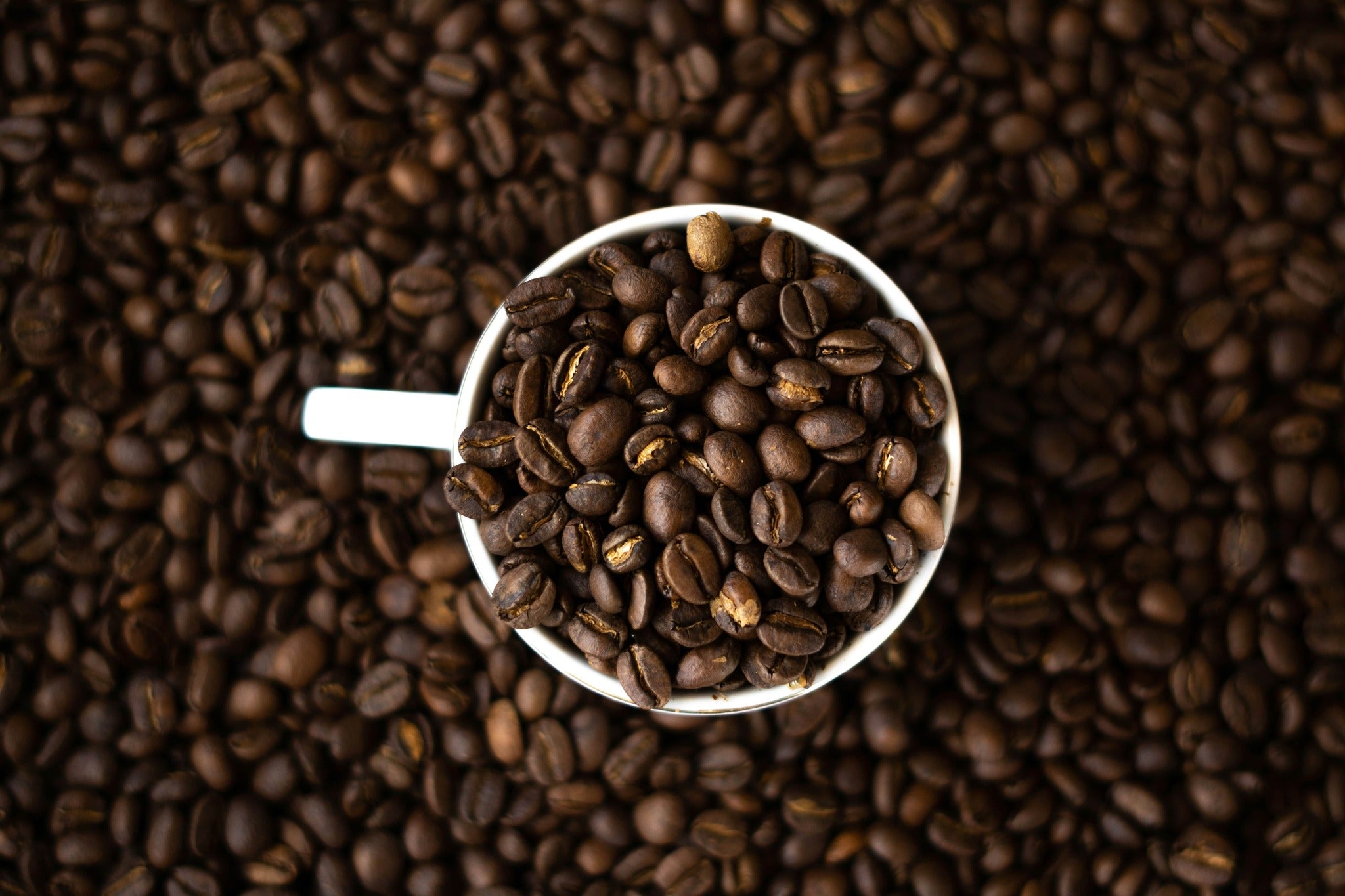 Seek® organic low acid coffee beans