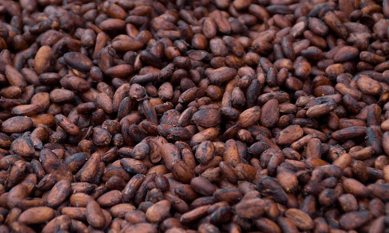 Cacao a superfood that is proven to help increase blood flow and nitric oxide levels.