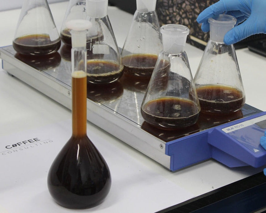 Seek® organic mold free coffee being third party lab tested to ensure it's free of mold, mycotoxins, pesticides, gluten and yeast 